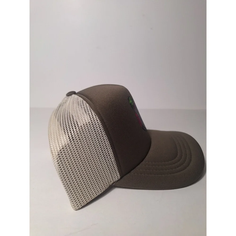Levi's Flying High California Sky Eagle Trucker Hat Snapback NWT Brown Mesh